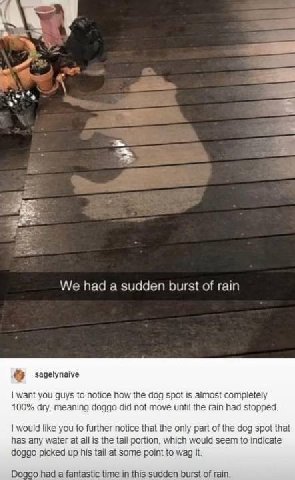 28 We had a sudden burst of rain sagelynaive want you guys to notice how the dog spoi is completely 100% dry, meaning 40990 did not move until the rain had stopped. would like you to further notice th