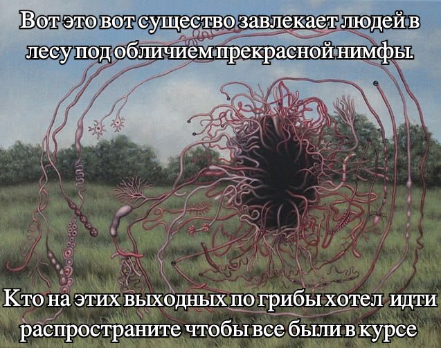 Вот это вот существо завлекает людей в лесу под обличием прекрасной нимфы. Кто на этих выходных по грибы хотел идти распространите чтобы все были вкурсе