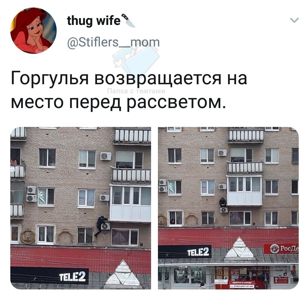 thug мНе® @Stiflers_mom Горгулья возвращается место перед рассветом. TELE2 A TELE2