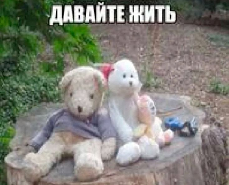 ДАВАЙТЕ ЖИТЬ
