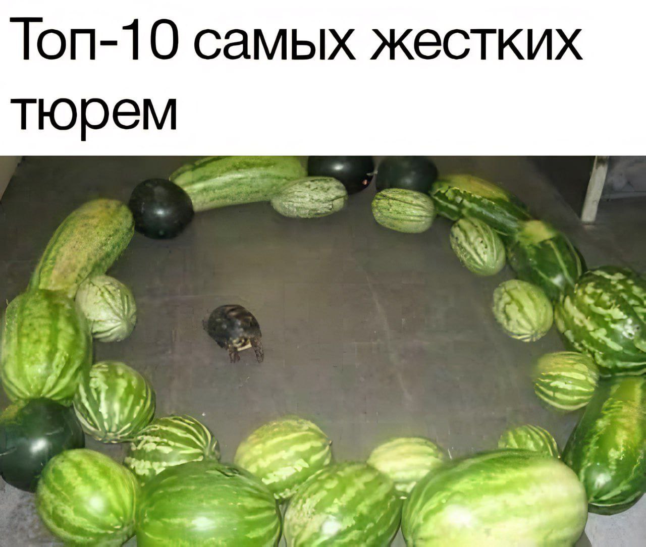Топ-10 самых жестких тюрем