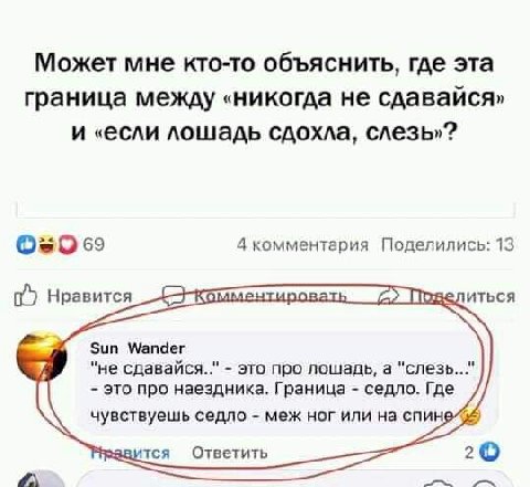 Может мне кто-то объяснить, где эта граница между «никогда не сдавайся» И «если лошадь сдохла, слезь»? 69 4 комментария Поделились: 13 ale Нравится UTbCA Sun Wander и "не это про лошадь, а "слезь это 