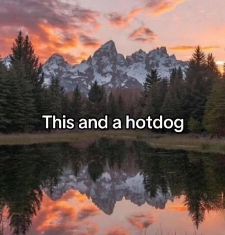 This and a hotdog