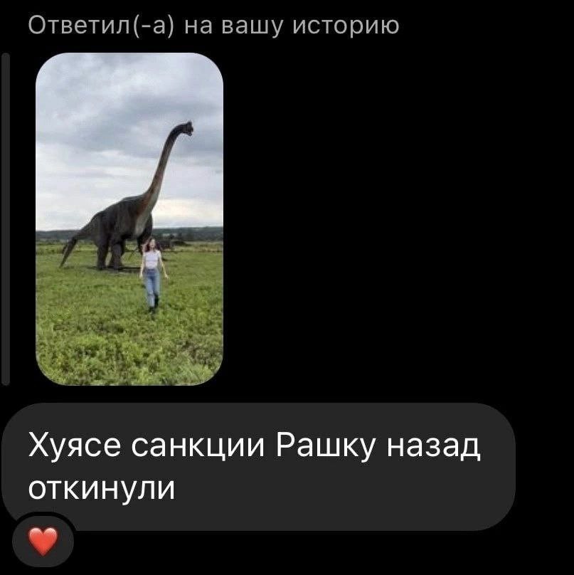 Ответил(-а) на вашу историю Хуясе санкции Рашку назад откинули