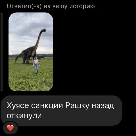 Ответил(-а) на вашу историю Хуясе санкции Рашку назад откинули