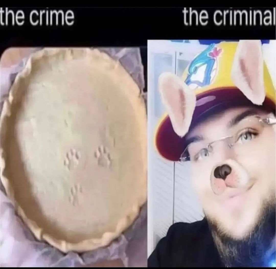 he crime the criminal
