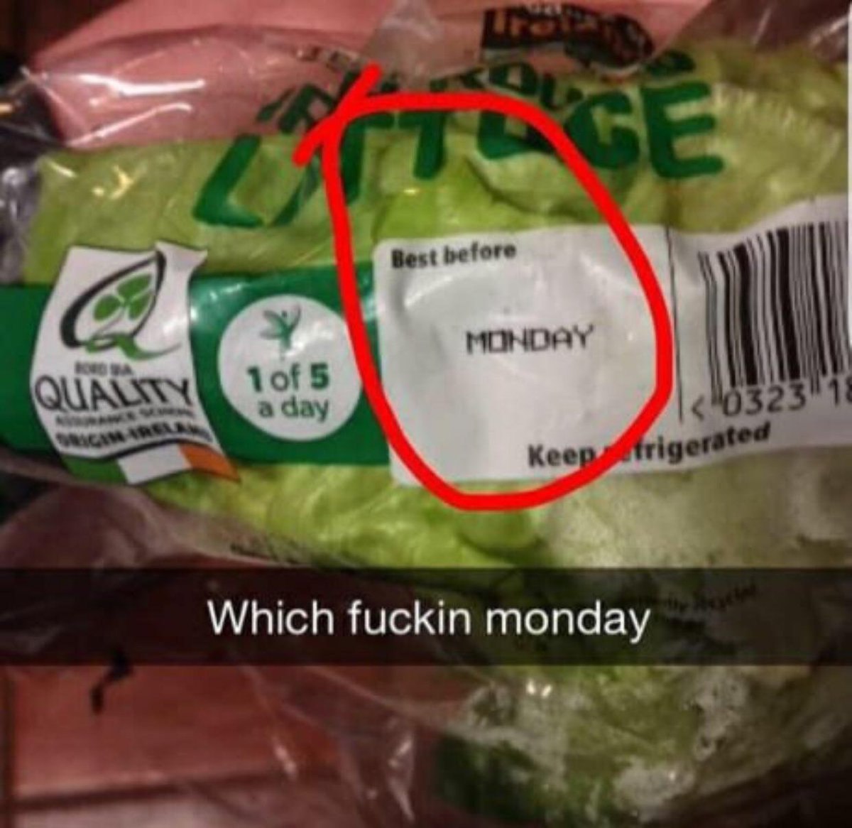 Which fuckin monday