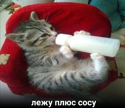 лежу плюс сосу