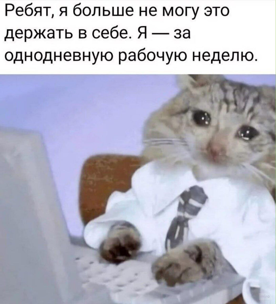 Ребят, я больше не могу это держать в себе. Я за однодневную рабочую неделю. i 1