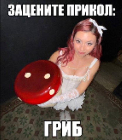 🍄