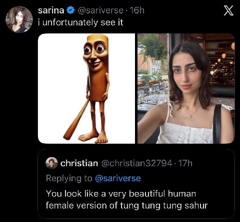 sarina @sariverse i unfortunately see it у: christian @christian32794 Replying to @sariverse You look like a very beautiful human female version of tung tung tung sahur