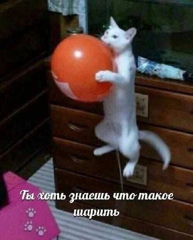 Ты хоть знаешь что такое шарить