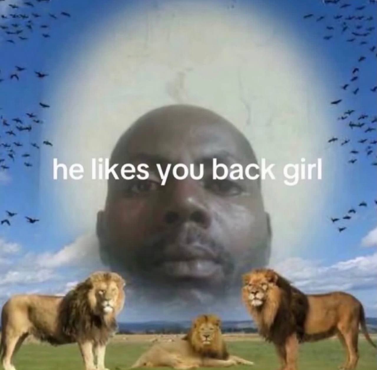 he likes you back girl
