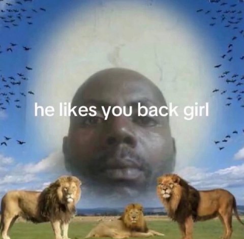 he likes you back girl