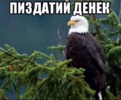 айс кьюб  такой