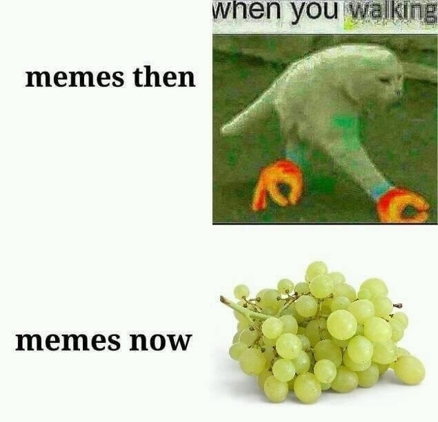 memes then memes now