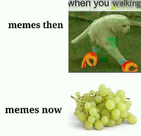 memes then memes now