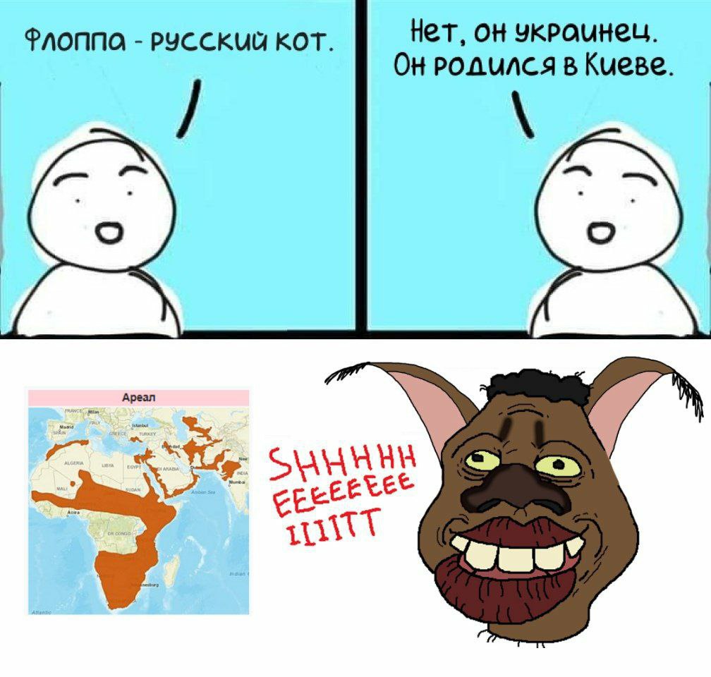Paonna РУССКИЙ KOT. Нет, он В