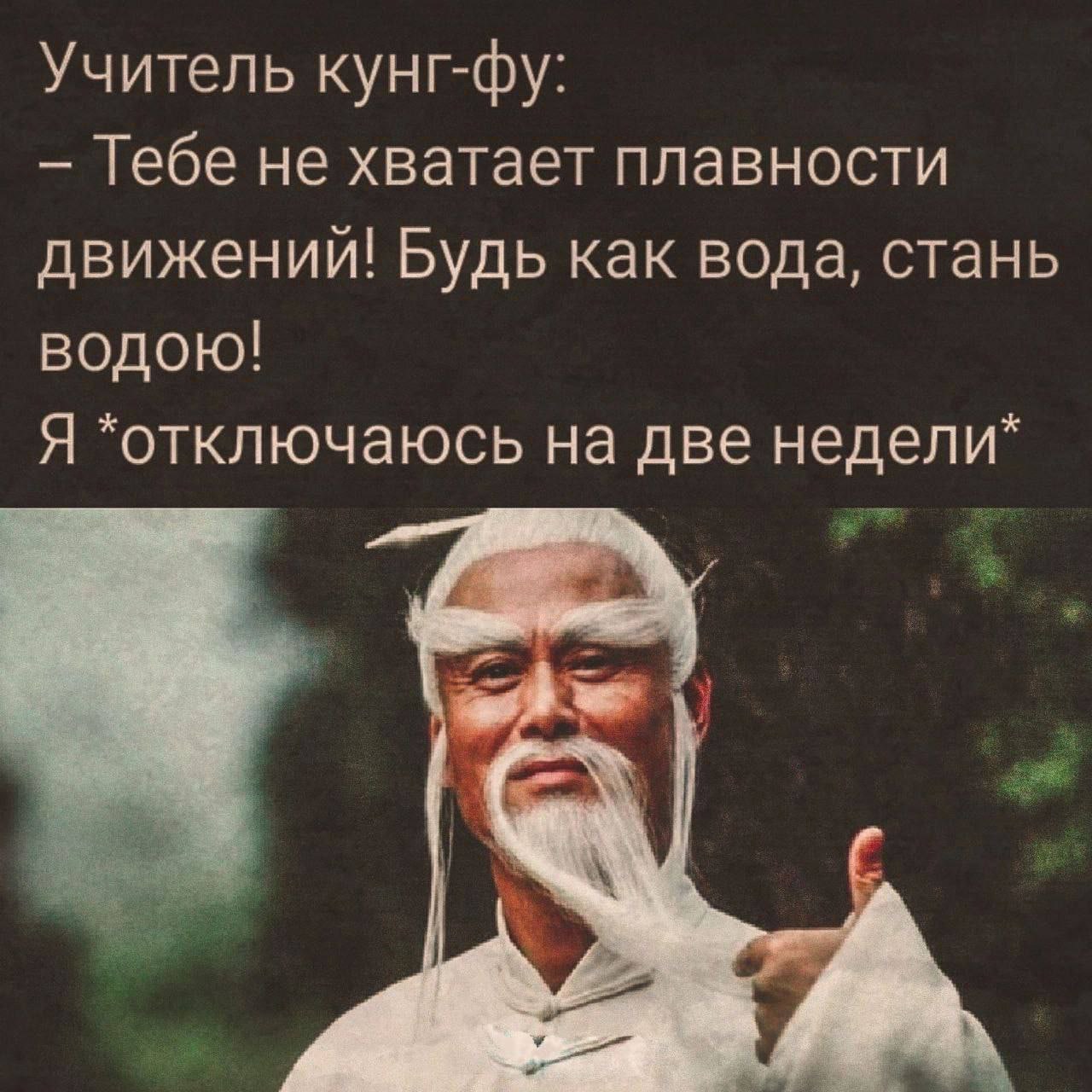 Учитель кунг-фу: Тебе не хватает плавности движений! Будь как вода, стань водою! Я *отключаюсь на две недели*