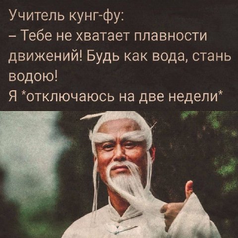 Учитель кунг-фу: Тебе не хватает плавности движений! Будь как вода, стань водою! Я *отключаюсь на две недели*