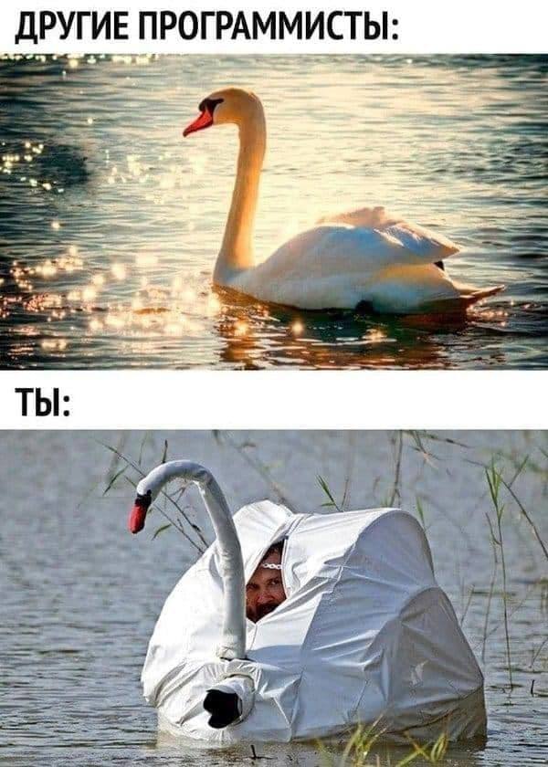 УГИЕ ПРОГРАММИСТЫ: