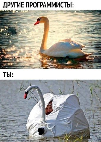 УГИЕ ПРОГРАММИСТЫ: