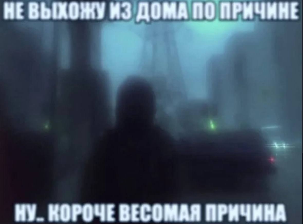 ИЗ ДОМА ПО ПРИЧИНЕ НУ КОРОЧЕВЕСОМАЯ ПРИЧИНА