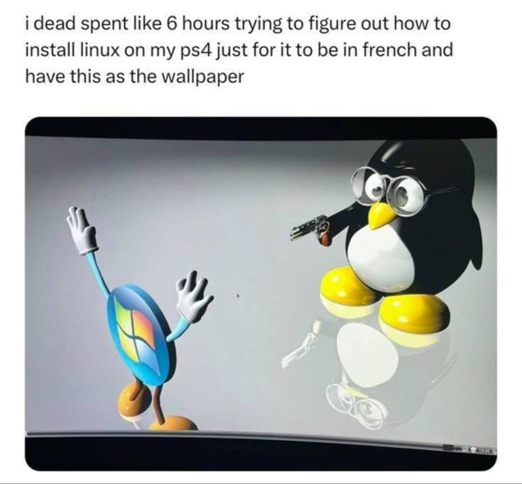 i dead spent like 6 hours trying to figure out how to install linux on my just for it to be in french and have this as the wallpaper {а 3
