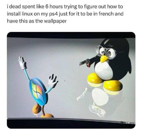 i dead spent like 6 hours trying to figure out how to install linux on my just for it to be in french and have this as the wallpaper {а 3