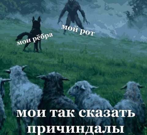 рот мои так сказать причиндалы