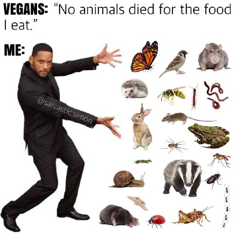 VEGANS: “No animals died for the food eat.” 2