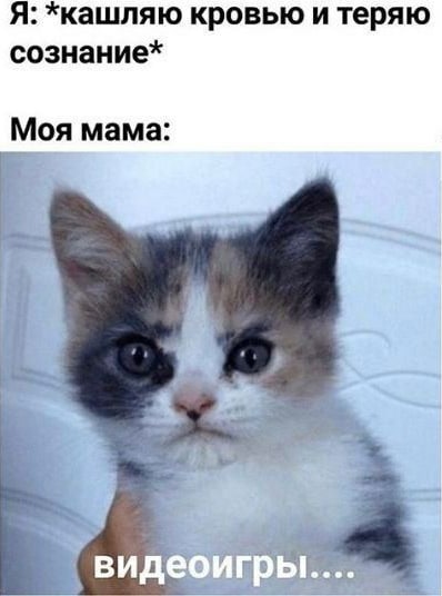 Я: кровью и теряю сознание* Моя мама: a 7 видео! a