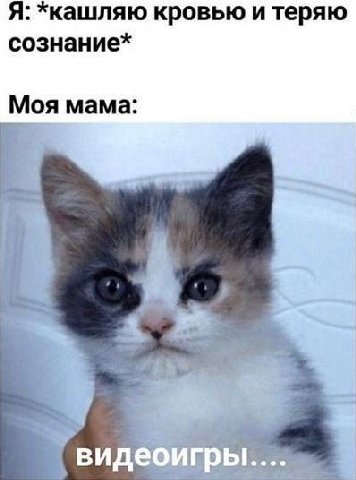 Я: кровью и теряю сознание* Моя мама: a 7 видео! a