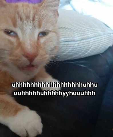 гм