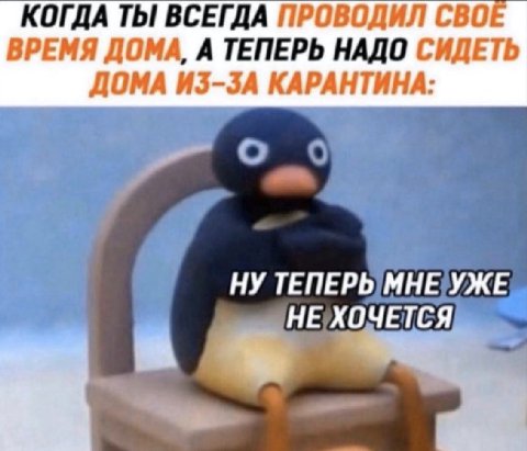 КОГДА ТЫ ВСЕГДА ПРОВОДИЛ СВО ВРЕМЯ ДОМА, А ТЕПЕРЬ НАДО СИДЕТЬ ДОМА ИЗ-ЗА КАРАНТИНА: НУ ТЕПЕРЬ МНЕ УЖЕ НЕ ХОЧЕТСЯ