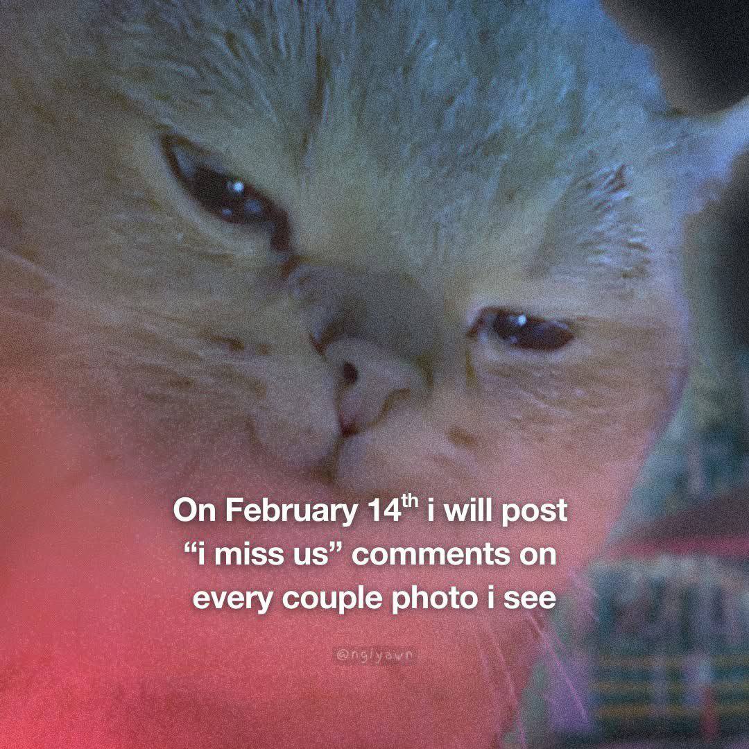 On February 14" i will post “i miss comments on every couple photo i see