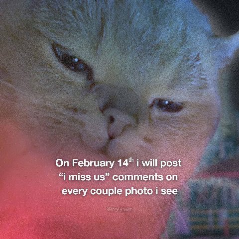 On February 14" i will post “i miss comments on every couple photo i see