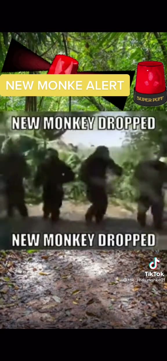 МЕМ/ МОМКЕ АБЕВТ = species found in Borneo jungle NEW МОМКЕМОВОРРЕО НЕМ MONKEY DROPPED ›