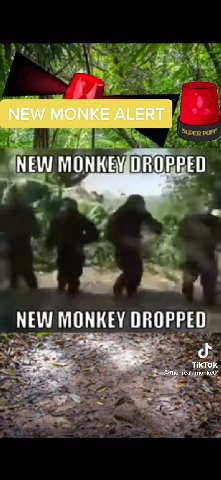 МЕМ/ МОМКЕ АБЕВТ = species found in Borneo jungle NEW МОМКЕМОВОРРЕО НЕМ MONKEY DROPPED ›
