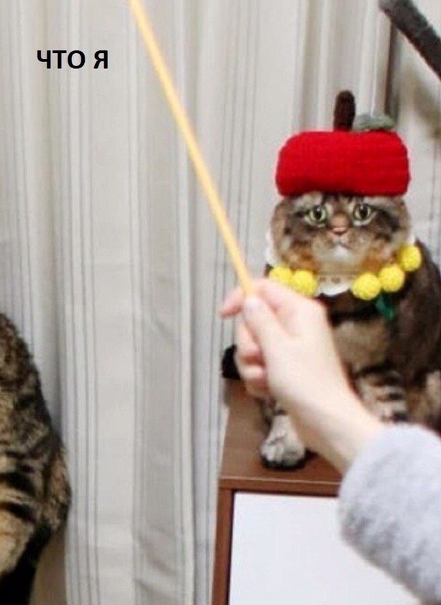 ЧТО Я