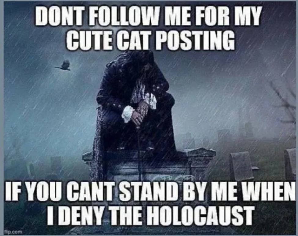 DONT FOLLOW ME FOR CUTE CAT POSTING IF YOU CANT STAND ME WHEN DENY THE HOLOCAUST