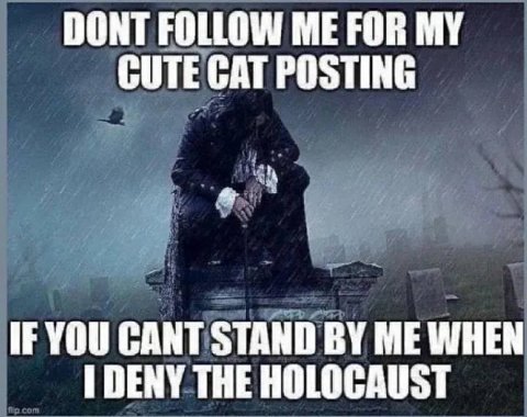 DONT FOLLOW ME FOR CUTE CAT POSTING IF YOU CANT STAND ME WHEN DENY THE HOLOCAUST