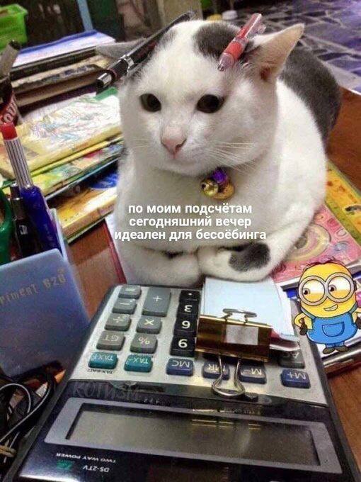 по моим подсчётам сегодняшний вечер ‘идеален для бесоёбинга of У