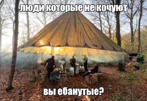 2 которые HE WSs вы ебанутые?