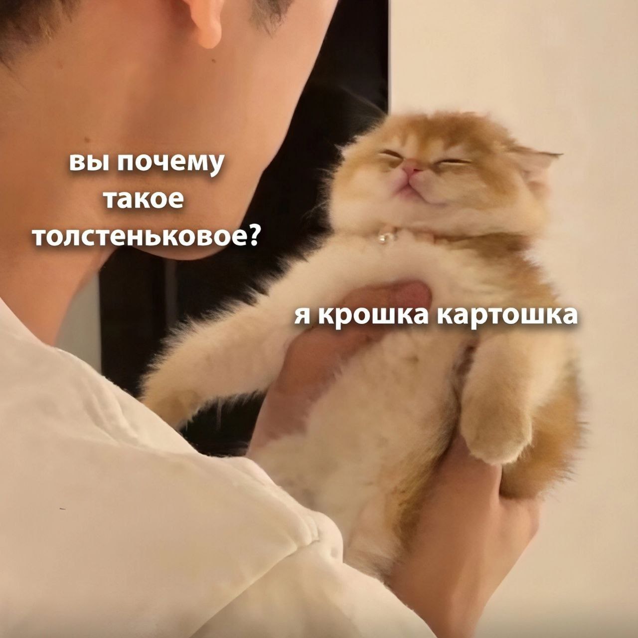 вы почему такое толстеньковое? я крошка картошка