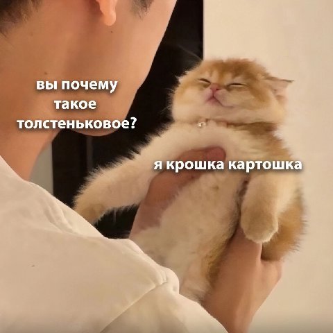 вы почему такое толстеньковое? я крошка картошка