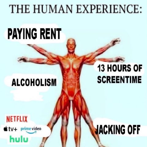 THE HUMAN EXPERIENCE: PAYING 13 HOURS OF SCREENTIME ALCOHOLISM NETFLIX prime video CKING OFF hulu