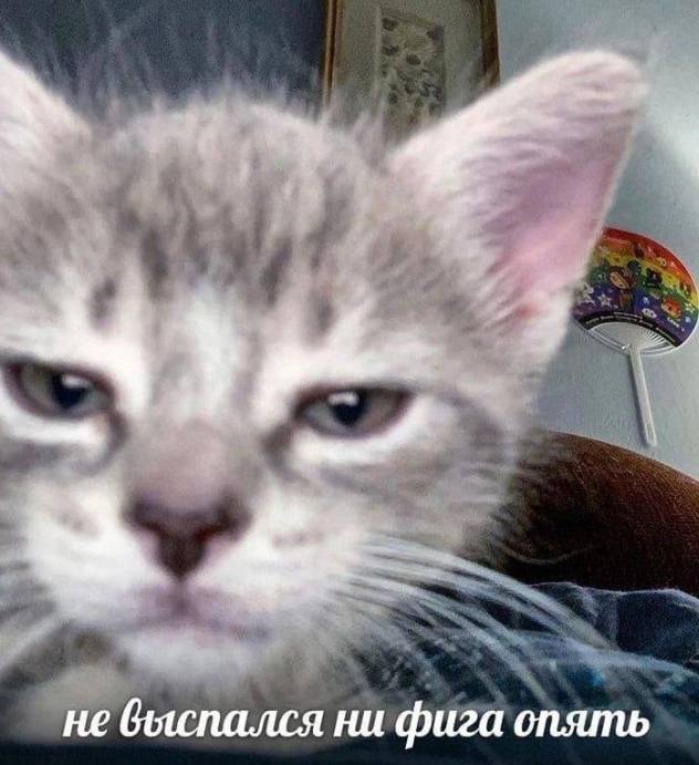 че выспался нифига опять