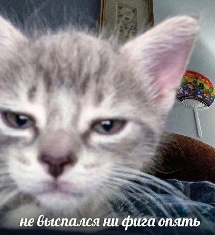 че выспался нифига опять