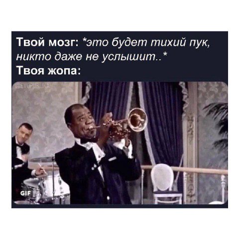 Твой мозг: *это будет тихий пук, никто даже не услышит..* Твоя жопа: 1 7 у i IF Я